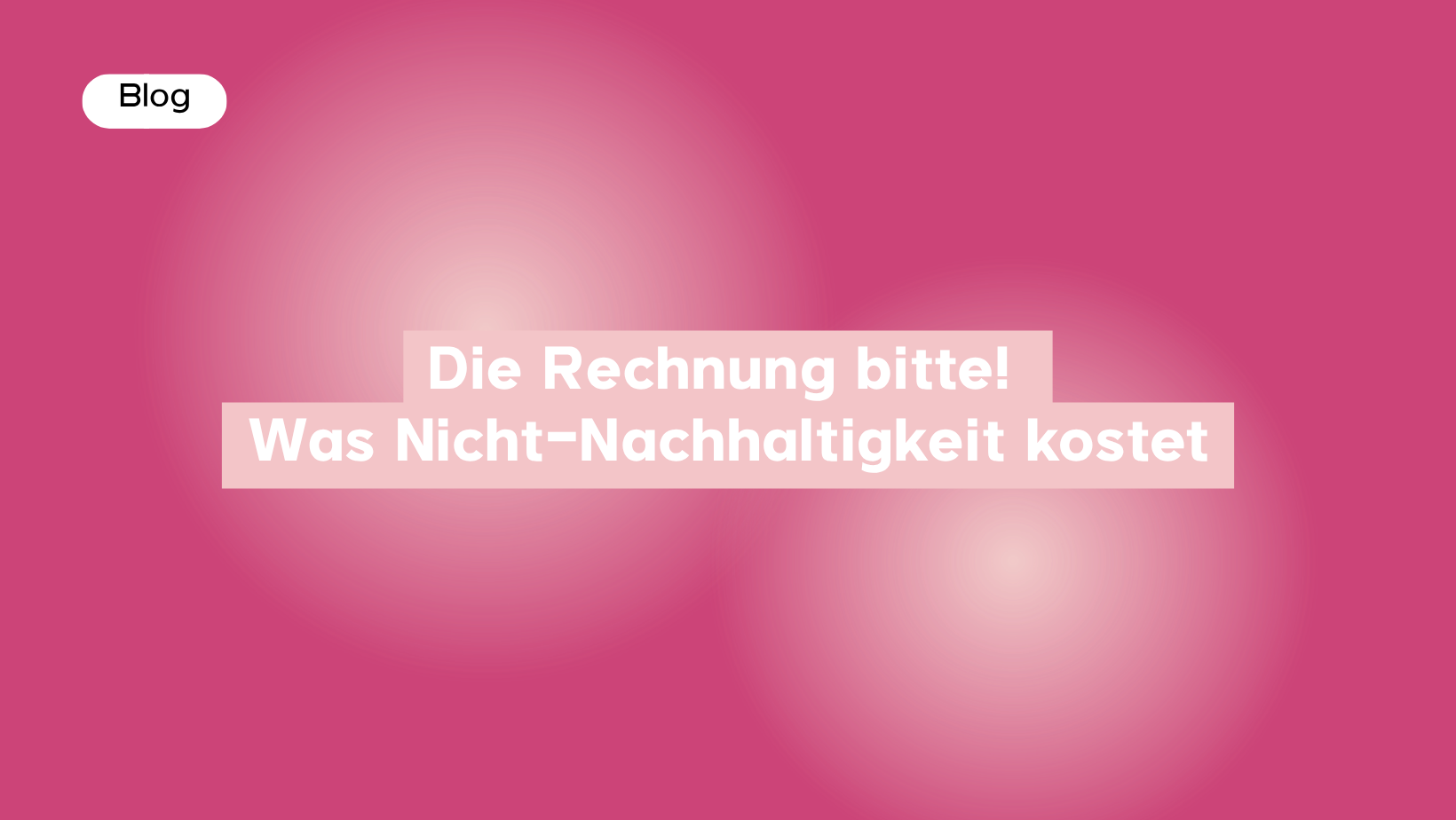 Die Rechnung bitte! Was Nicht-Nachhaltigkeit kostet